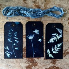 Cyanotype supplies