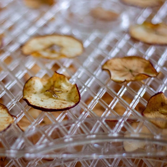 apple slices drying