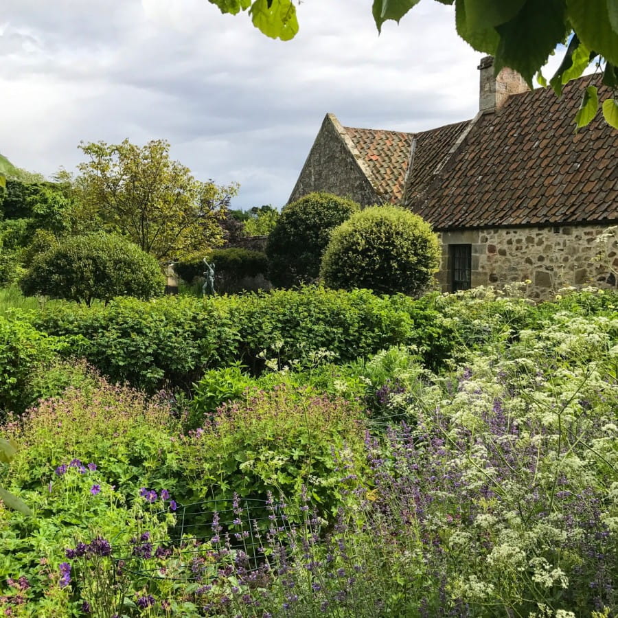 Broadwoodside Garden, Gifford | Snapdragon Life