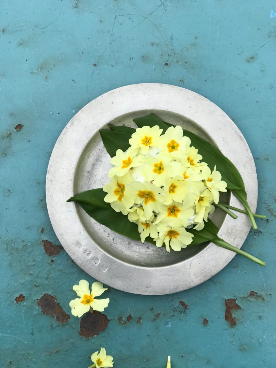 Goats cheese with edible flowers