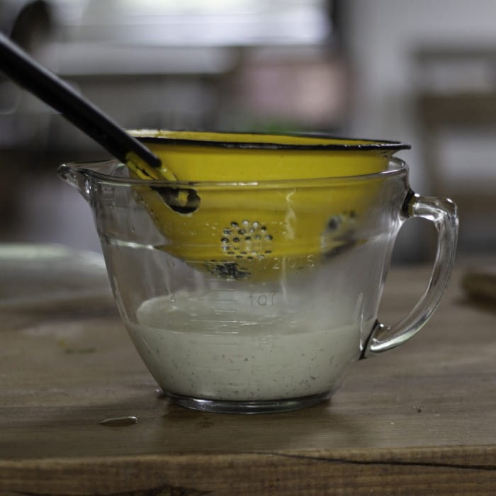 ice cream foraged