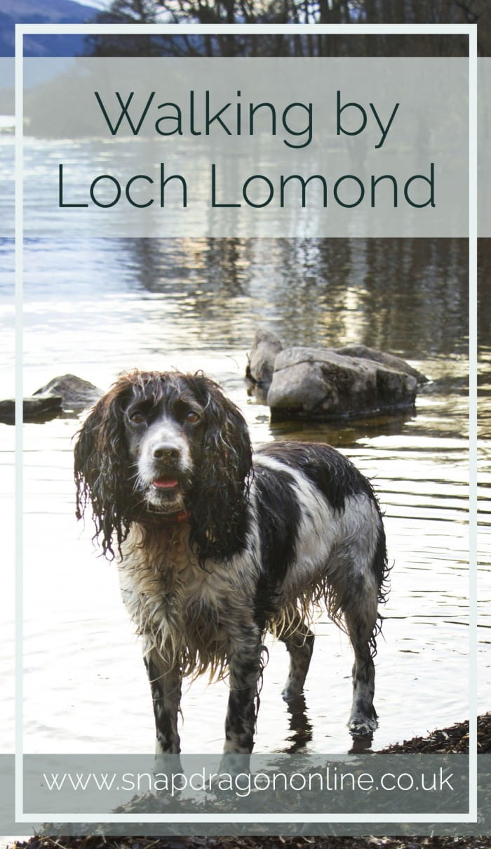 loch lomond