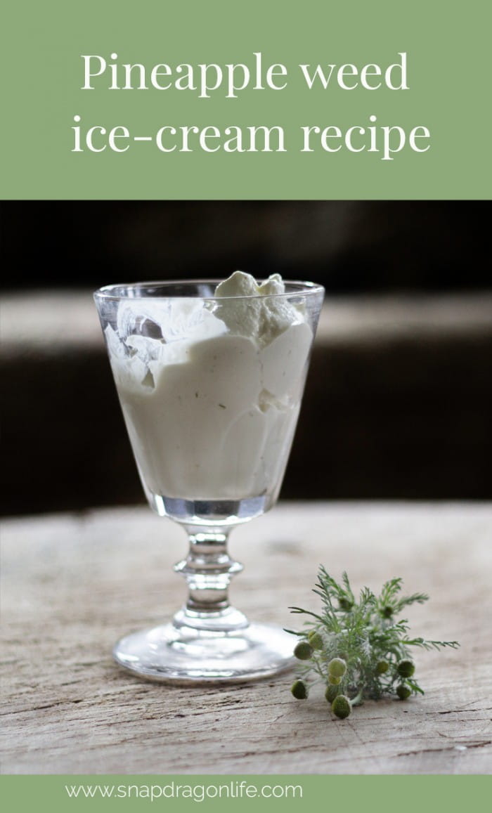 pin to pinterest pineapple weed ice cream