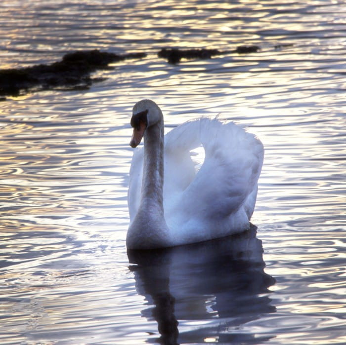 loch lomond